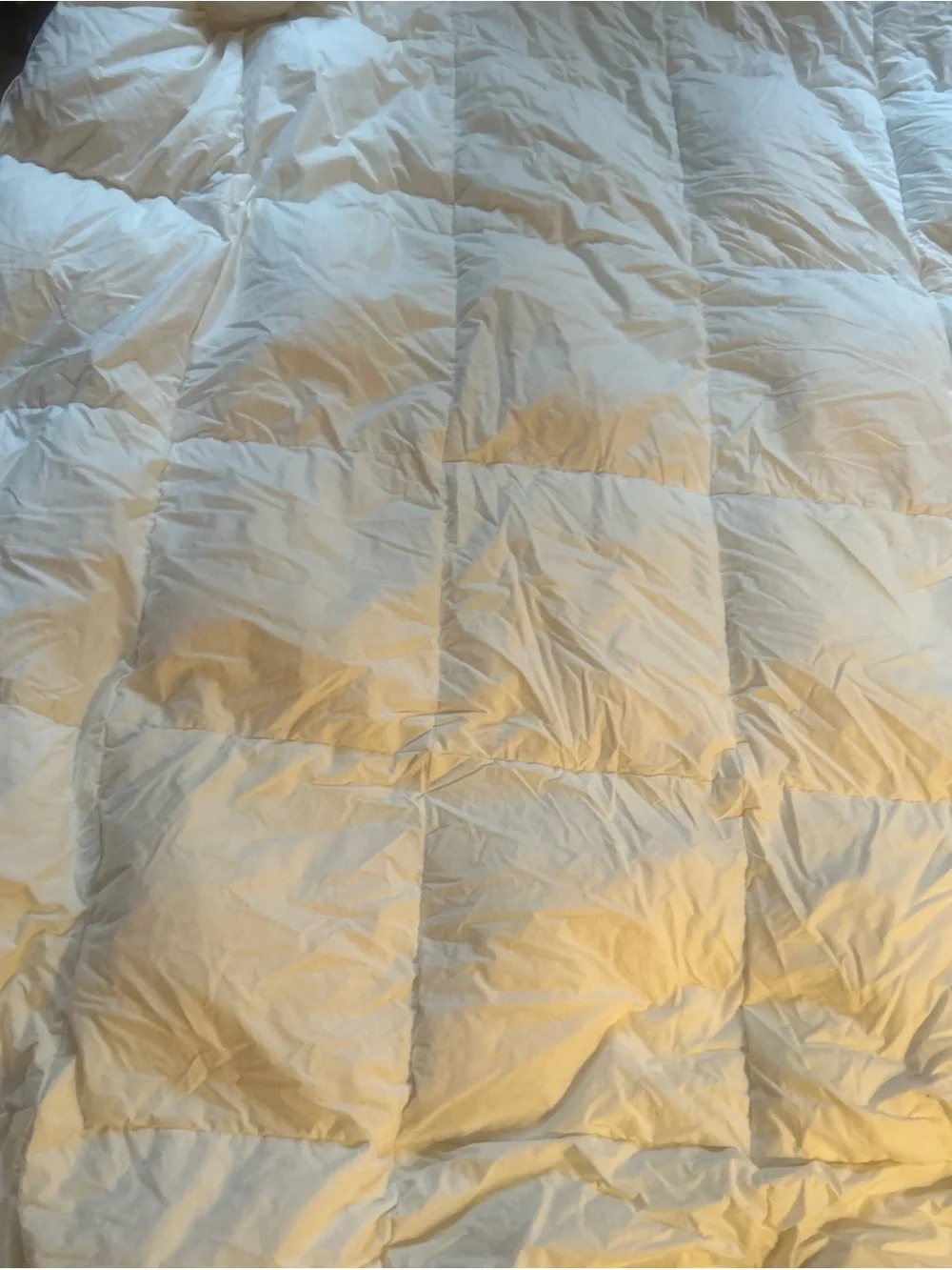 Queen/ Full Size 90 x 68  Cotton Goose Down Comforter Box Stitch white organic